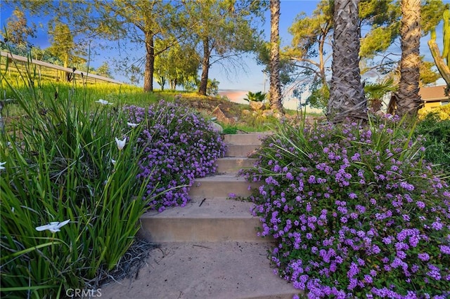13306 Ricks Ranch Rd, Valley Center, CA 92082 - photo 33