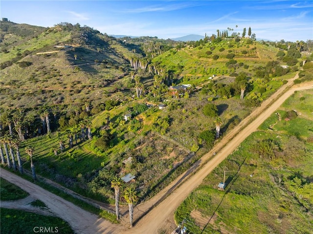 13306 Ricks Ranch Rd, Valley Center, CA 92082 - photo 52