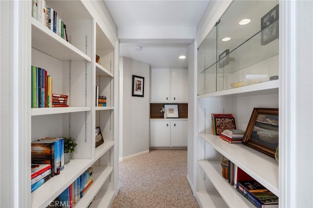 11 Spring View Way, Rancho Santa Margarita, CA 92688 - view of storage area