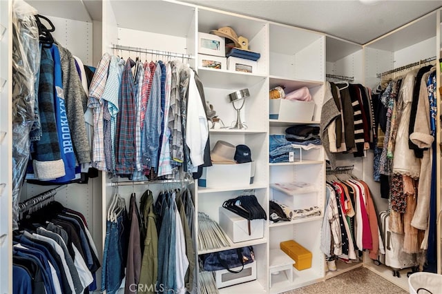 11 Spring View Way, Rancho Santa Margarita, CA 92688 - view of spacious closet