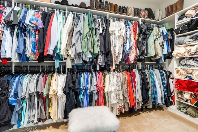 6288 Barb Way, Jurupa Valley, CA 92509 - spacious closet featuring carpet