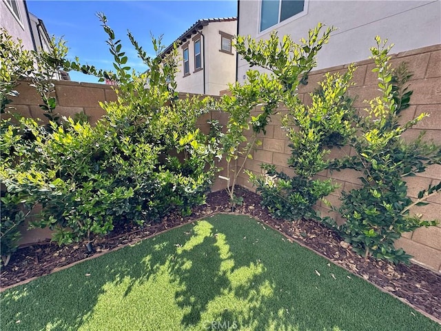 31937 Via Encima, San Juan Capistrano, CA 92675 - view of yard