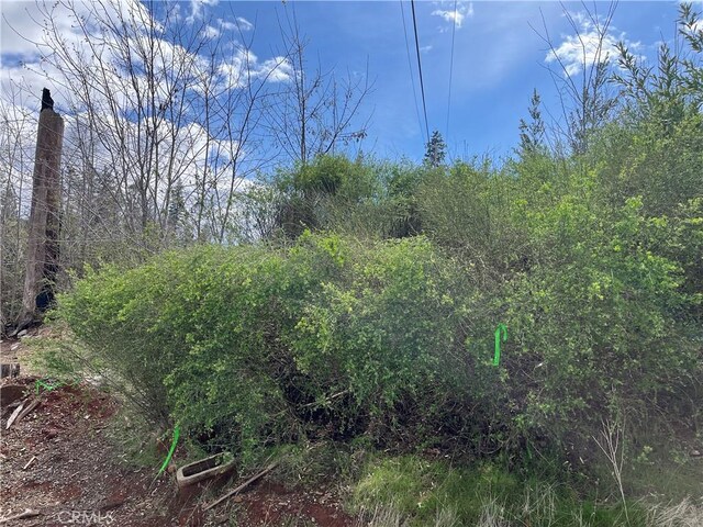 13820 Sugar Pine Dr, Magalia, CA 95954 - photo 23