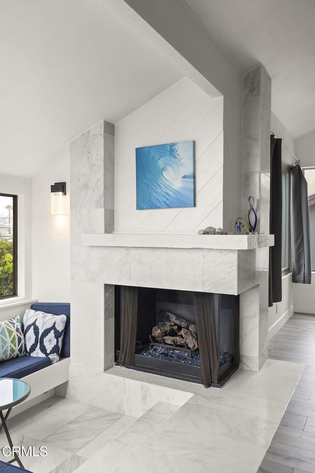 living area featuring a premium fireplace