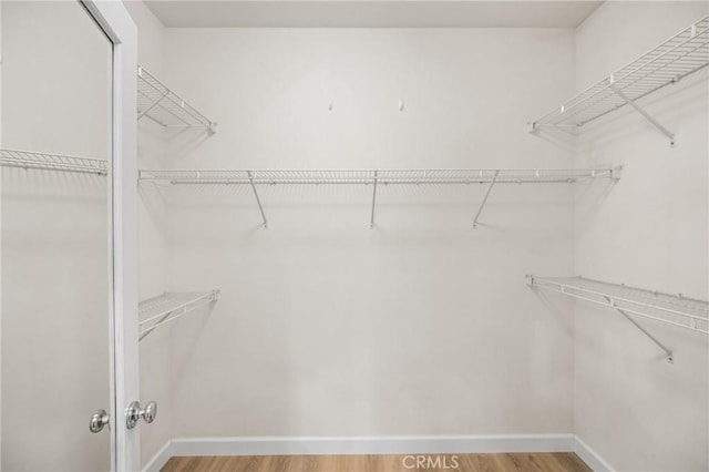 walk in closet featuring light wood-style floors