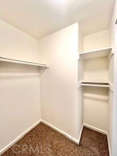 838 Pine Ave Unit 510, Long Beach, CA 90813 - walk in closet featuring carpet