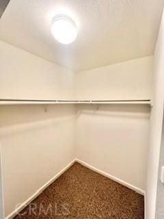 838 Pine Ave Unit 510, Long Beach, CA 90813 - spacious closet featuring carpet floors