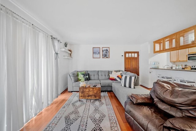 living room with light wood-type flooring