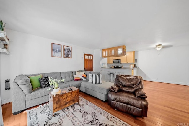 living area featuring baseboards and light wood-style floors