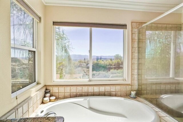 29086 Madrid Pl, Castaic, CA 91384 - full bathroom featuring crown molding, a garden tub, and a wealth of natural light