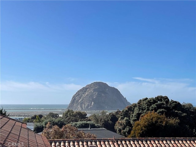 view of mountain feature