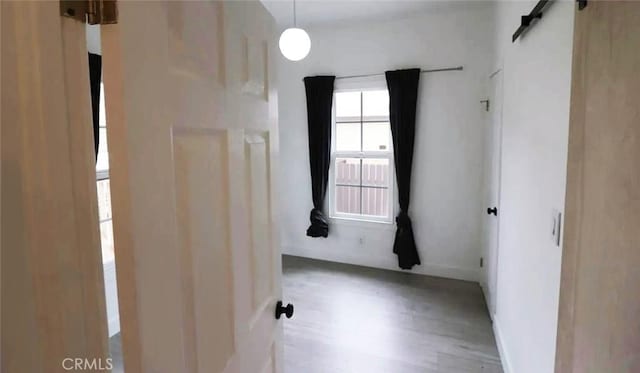 empty room featuring wood finished floors