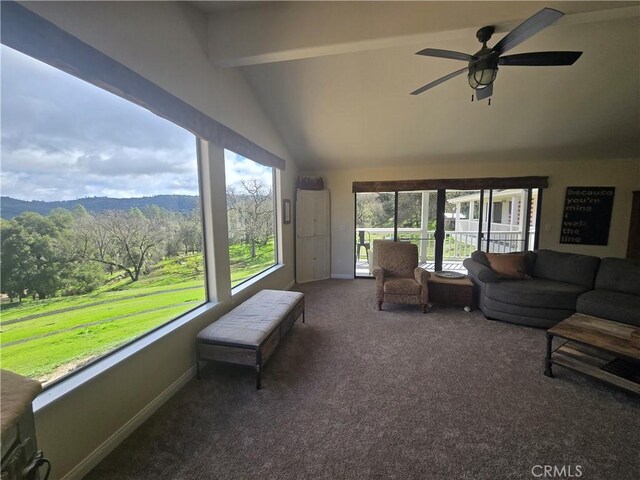 7330 Gage Irving Rd, Paso Robles, CA 93446 - photo 15