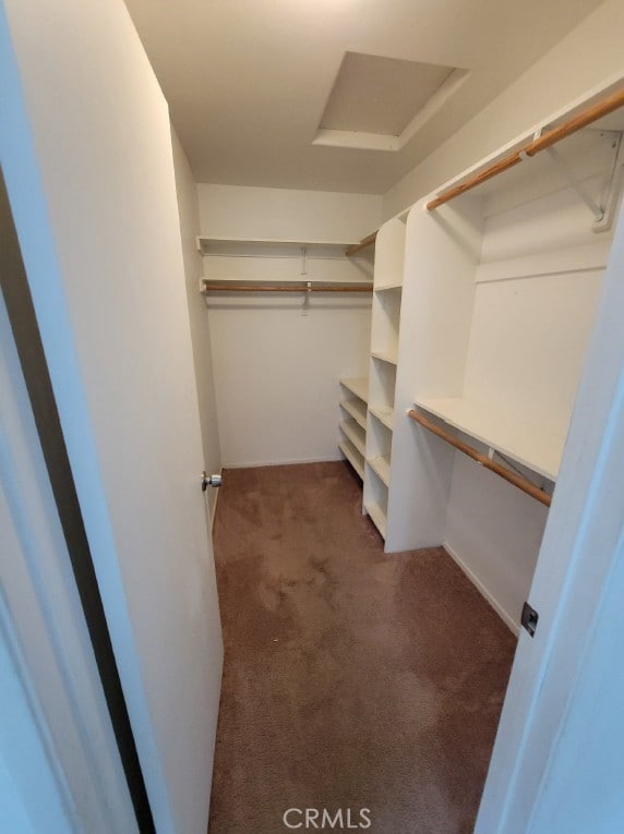spacious closet featuring attic access and carpet