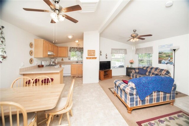 16390 Tish A Tang Rd, Lower Lake, CA 95457 - photo 6