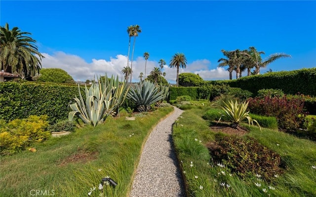 245 Rocky Point Rd, Palos Verdes Estates, CA 90274 - photo 42