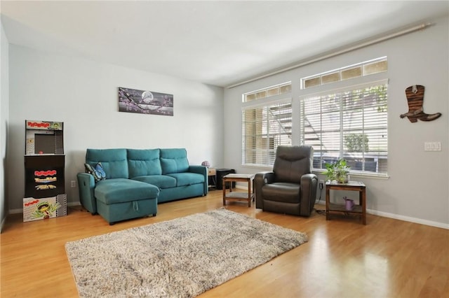 living room featuring baseboards and wood finished floors