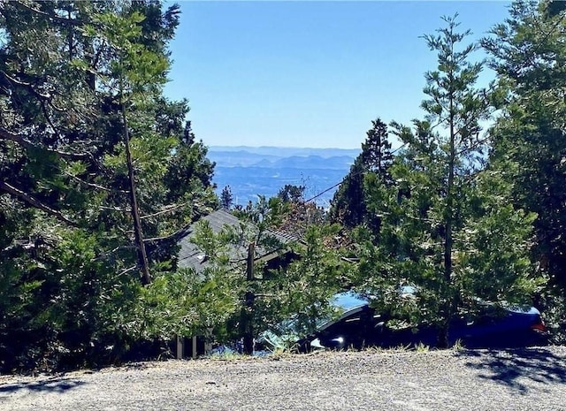 2402 Spring Oak Dr, Running Springs, CA 92382