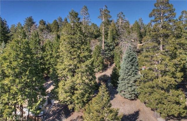 2402 Spring Oak Dr, Running Springs, CA 92382