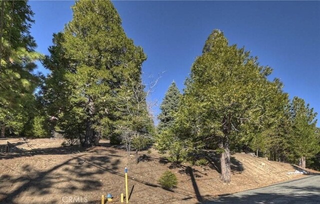2402 Spring Oak Dr, Running Springs, CA 92382