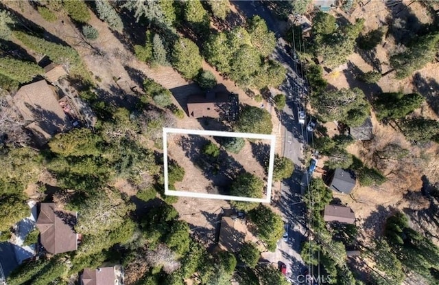 2402 Spring Oak Dr, Running Springs, CA 92382