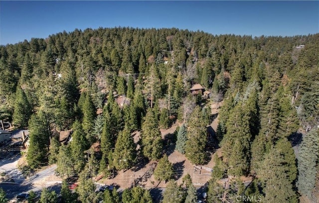 2402 Spring Oak Dr, Running Springs, CA 92382
