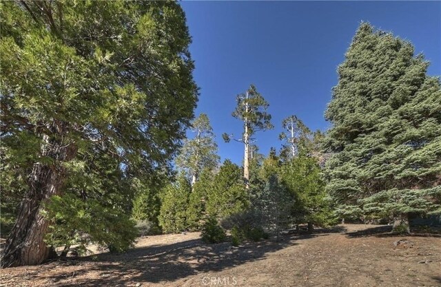 2402 Spring Oak Dr, Running Springs, CA 92382