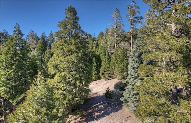 2402 Spring Oak Dr, Running Springs, CA 92382