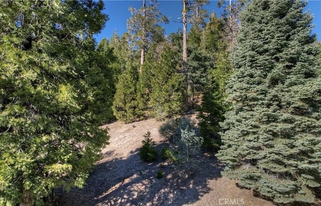2402 Spring Oak Dr, Running Springs, CA 92382