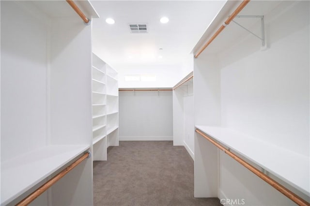 walk in closet featuring visible vents and carpet