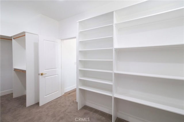 spacious closet featuring carpet floors
