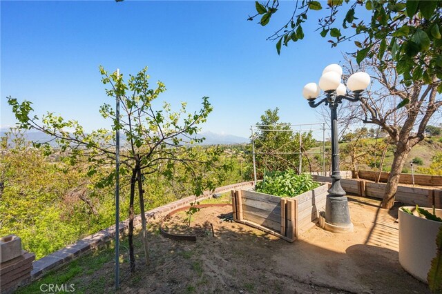 view of yard featuring a vegetable garden