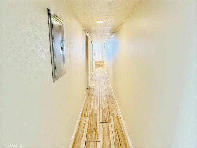 corridor with electric panel, baseboards, light wood-style floors, and a textured ceiling