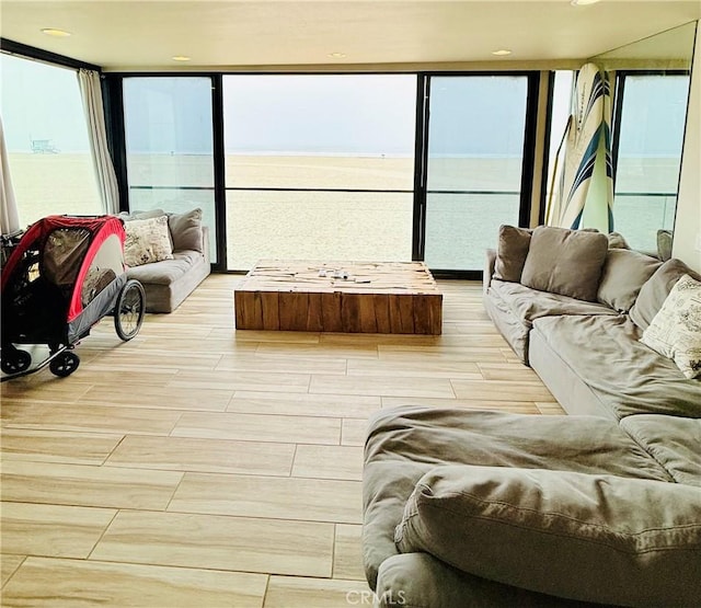 living area with floor to ceiling windows and wood tiled floor