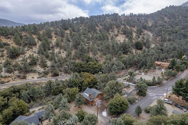 2304 Glacier Dr, Pine Mountain Club, CA 93222 - photo 46