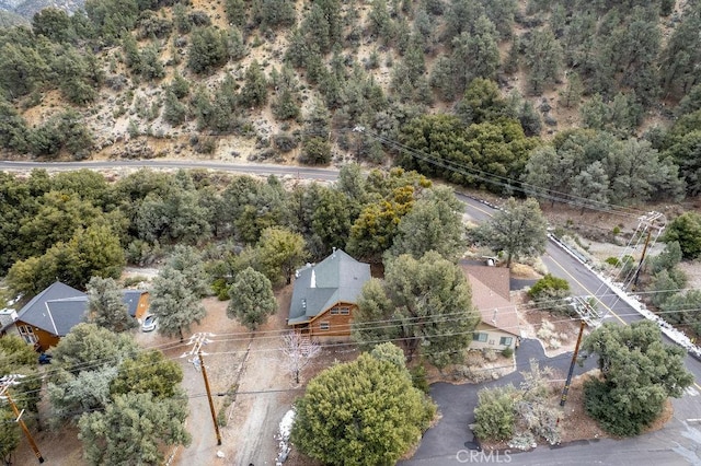 2304 Glacier Dr, Pine Mountain Club, CA 93222 - photo 45