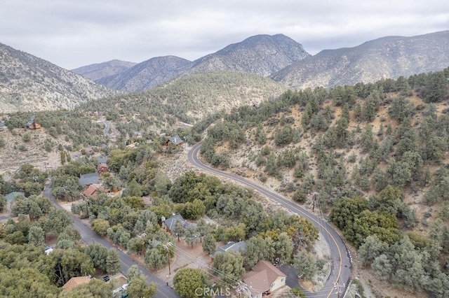 2304 Glacier Dr, Pine Mountain Club, CA 93222 - photo 47