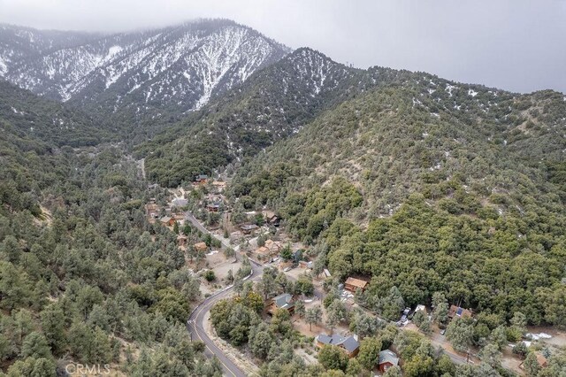 2304 Glacier Dr, Pine Mountain Club, CA 93222 - photo 49