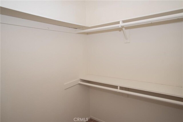719 N Eucalyptus Ave Unit 19A, Inglewood, CA 90302 - view of walk in closet