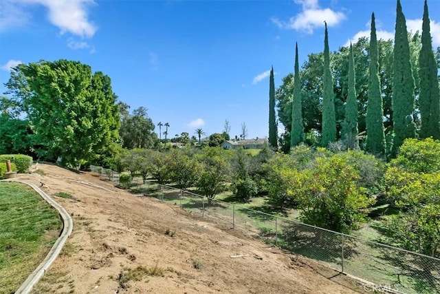 1618 Southport Dr, Riverside, CA 92506 - view of local wilderness