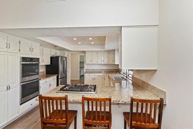 1618 Southport Dr, Riverside, CA 92506 - kitchen with stainless steel appliances, a raised ceiling, a peninsula, a sink, and a kitchen breakfast bar
