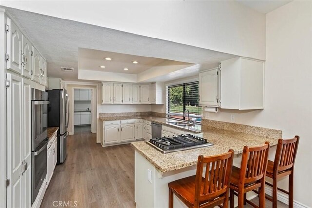 1618 Southport Dr, Riverside, CA 92506 - kitchen featuring a peninsula, a sink, a raised ceiling, stainless steel appliances, and light wood-type flooring