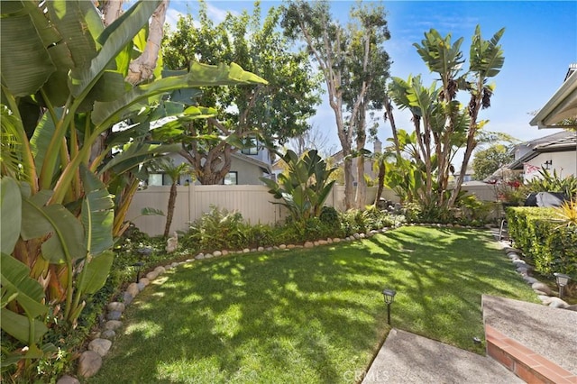 view of yard with a fenced backyard