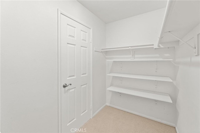 spacious closet with carpet