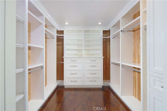 89 S La Senda Dr, Laguna Beach, CA 92651 - spacious closet featuring dark wood-style floors