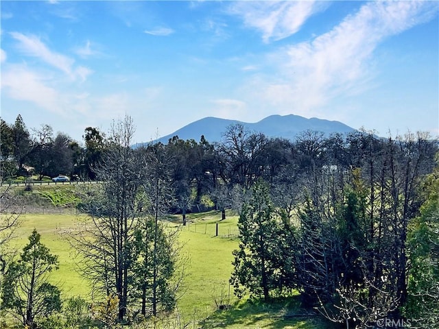 60 Shirley Ct, Lakeport, CA 95453 - photo 30