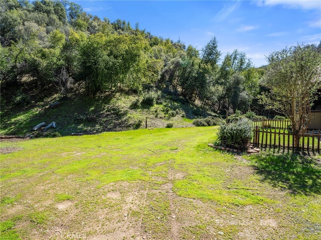 2979 Scotts Creek Rd, Lakeport, CA 95457 - photo 6