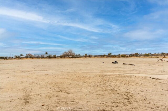 view of local wilderness