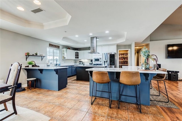 kitchen featuring visible vents, appliances with stainless steel finishes, a tray ceiling, island range hood, and a kitchen island