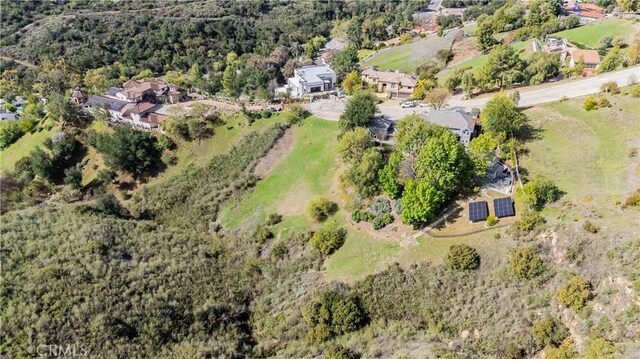 16 Holster Ln, Bell Canyon, CA 91307 - photo 19